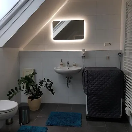 Lägenhet Rheinaue