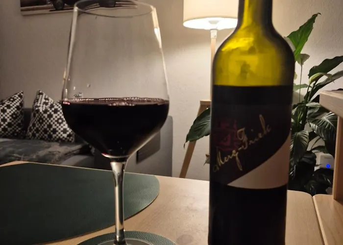 Rheinaue 公寓 杜伊斯堡